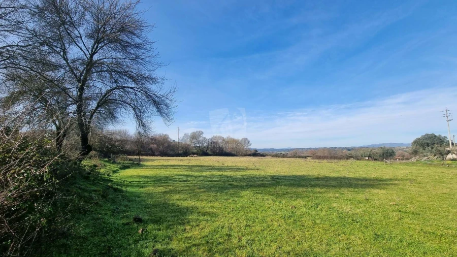 Quinta para Venda em Oledo Foto 27