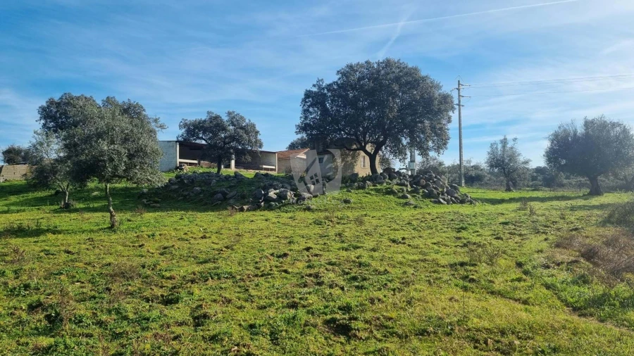 Quinta para Venda em Oledo Foto 36