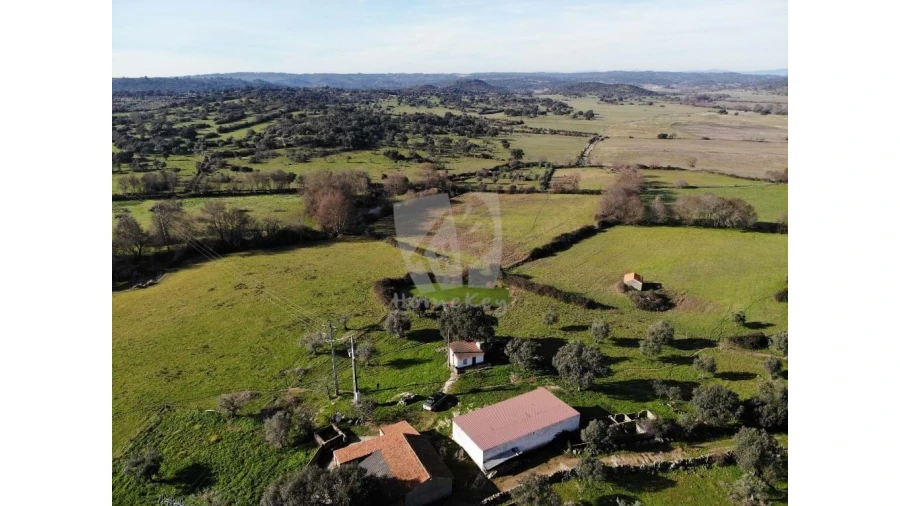 Quinta para Venda em Oledo Foto 50