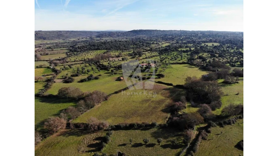 Quinta para Venda em Oledo Foto 48