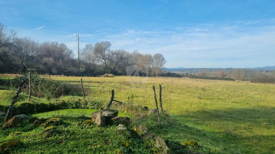 Quinta para Venda em Oledo Foto 29