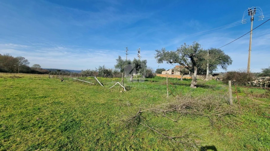 Quinta para Venda em Oledo Foto 24