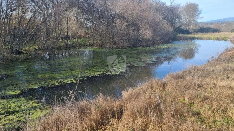 Quinta para Venda em Oledo Foto 30