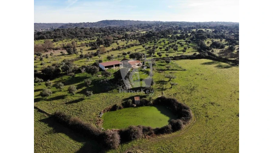 Quinta para Venda em Oledo Foto 40