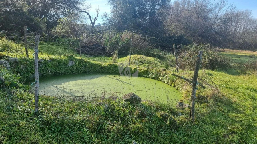 Quinta para Venda em Oledo Foto 28