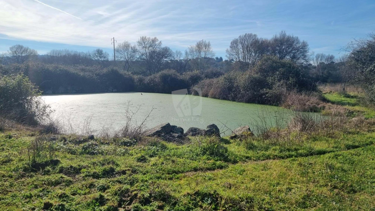 Quinta para Venda em Oledo Foto 35