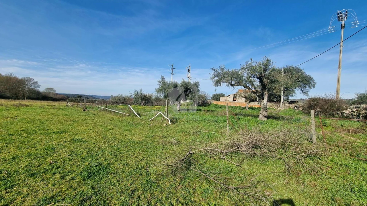 Quinta para Venda em Oledo Foto 24