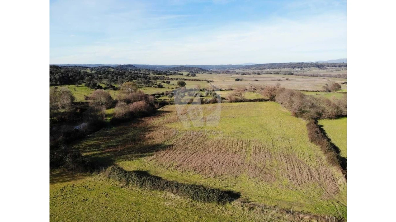 Quinta para Venda em Oledo Foto 46