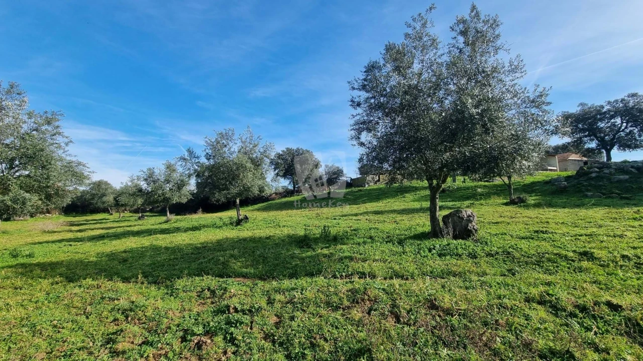 Quinta para Venda em Oledo Foto 34