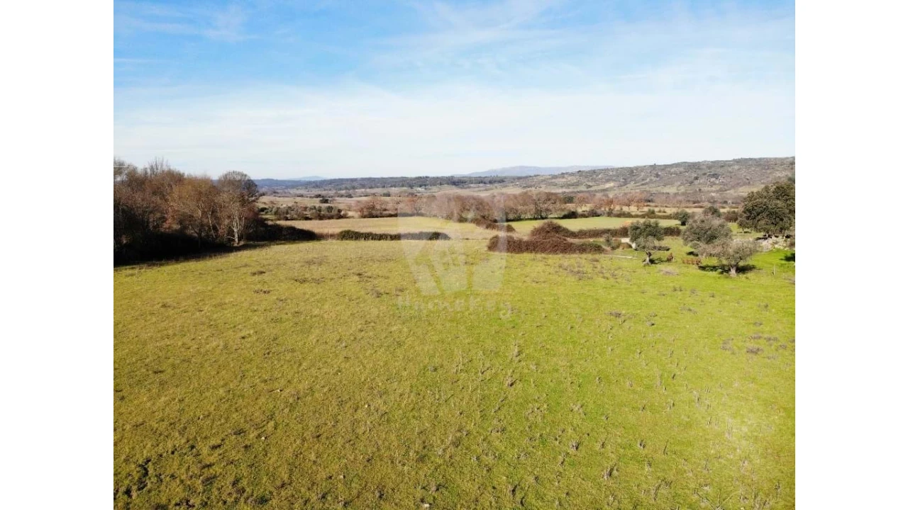 Quinta para Venda em Oledo Foto 43