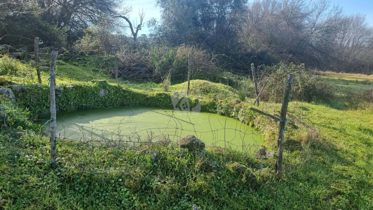 Quinta para Venda em Oledo Foto 28