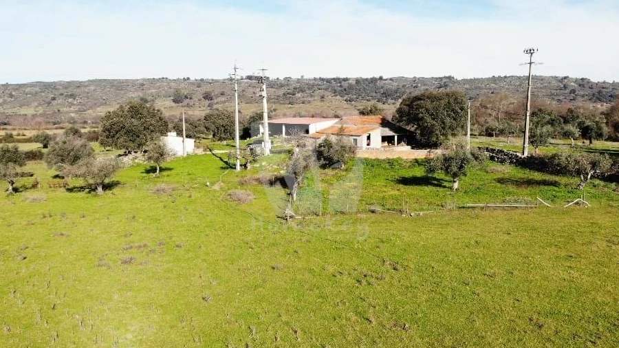 Quinta para Venda em Oledo