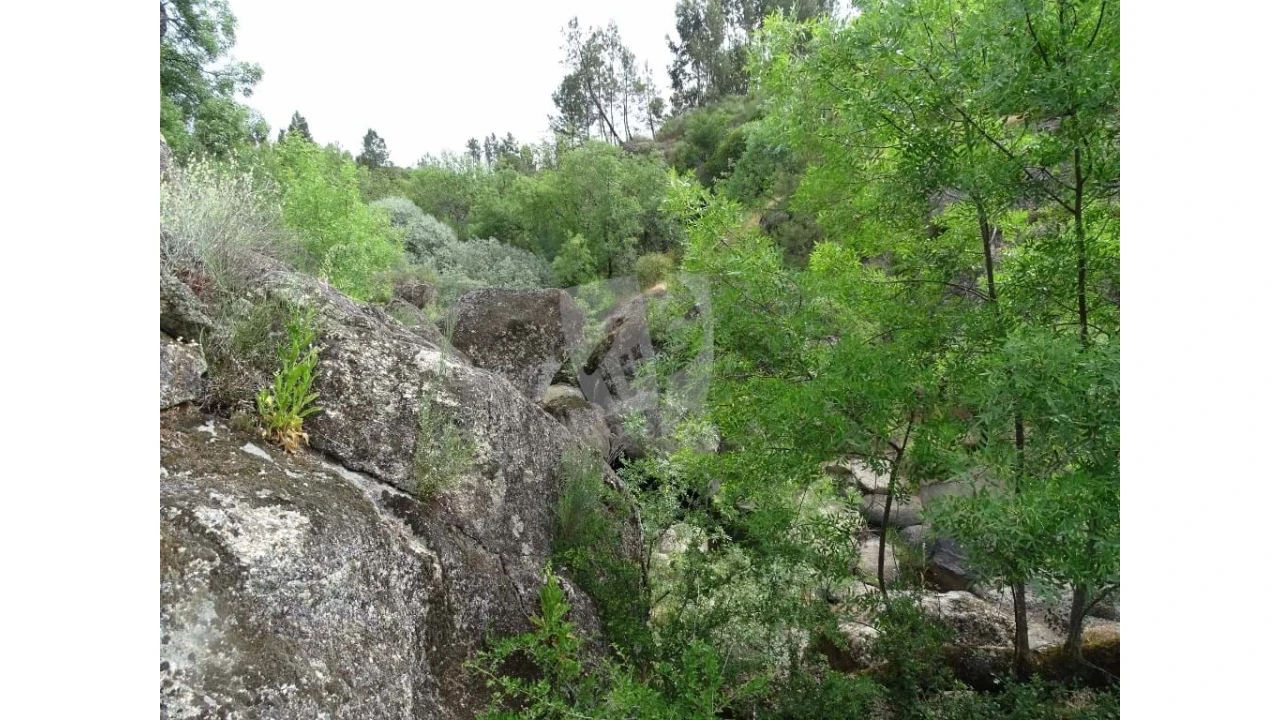 Terreno Agricola ou Rústico para Venda em Salgueiro do Campo Foto 23