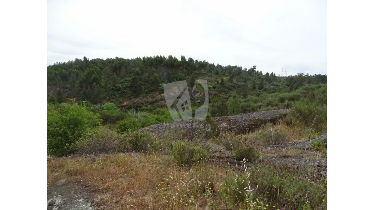 Terreno Agricola ou Rústico para Venda em Salgueiro do Campo Foto 27