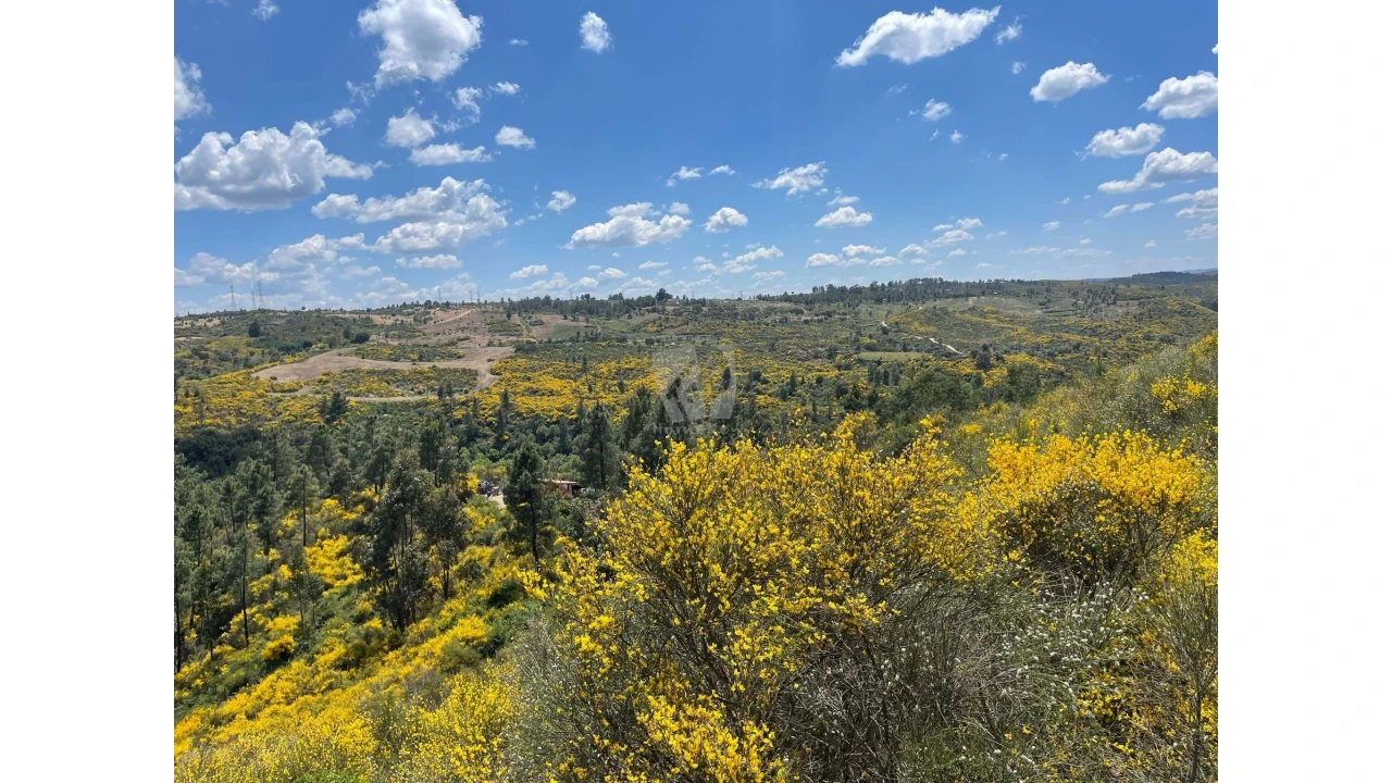 Terreno Agricola ou Rústico para Venda em Salgueiro do Campo Foto 3