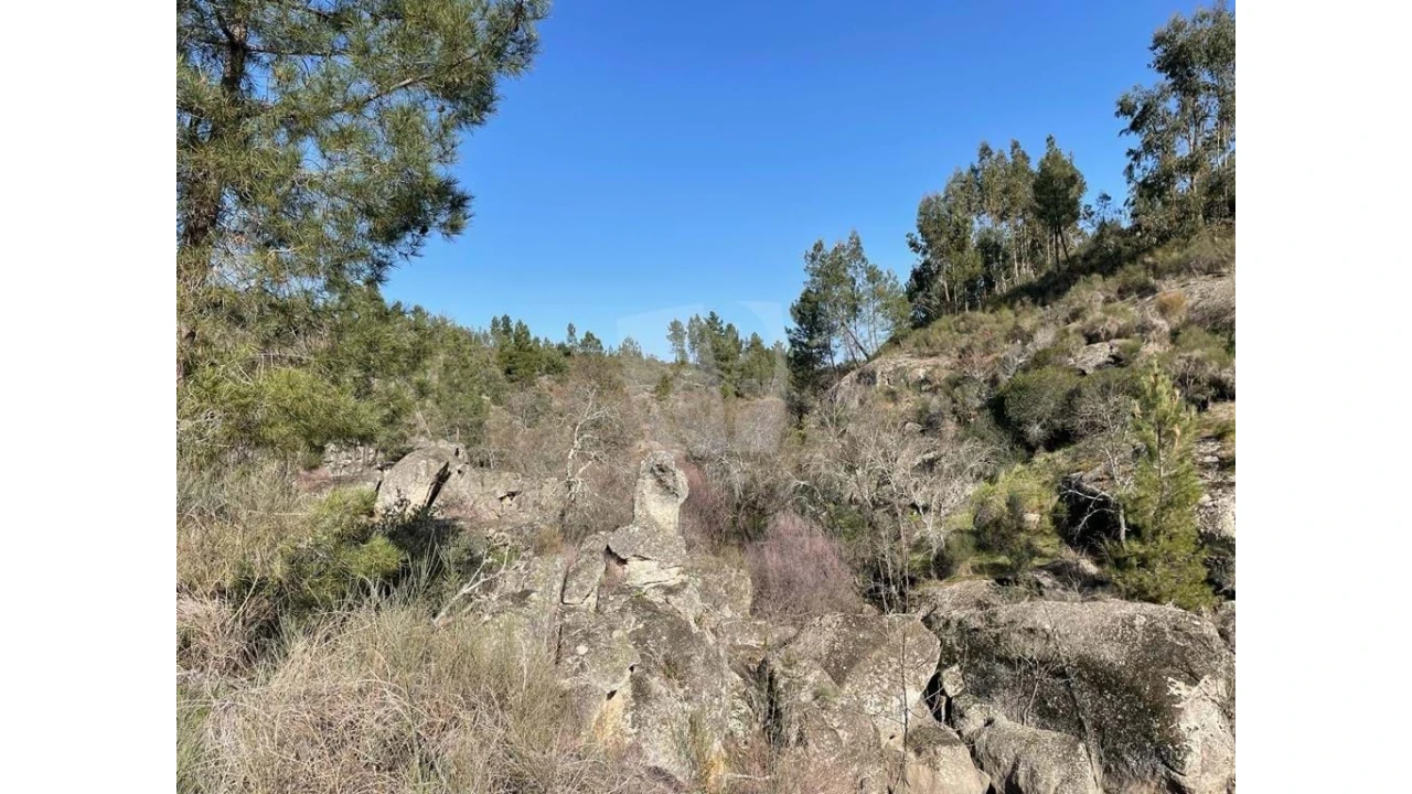 Terreno Agricola ou Rústico para Venda em Salgueiro do Campo Foto 13
