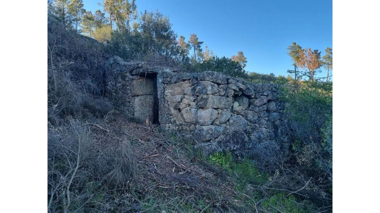 Terreno Agricola ou Rústico para Venda em Salgueiro do Campo Foto 4