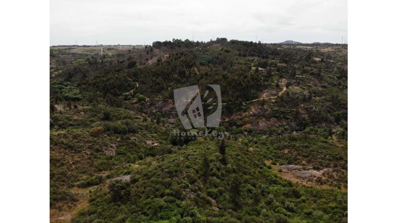 Terreno Agricola ou Rústico para Venda em Salgueiro do Campo Foto 29