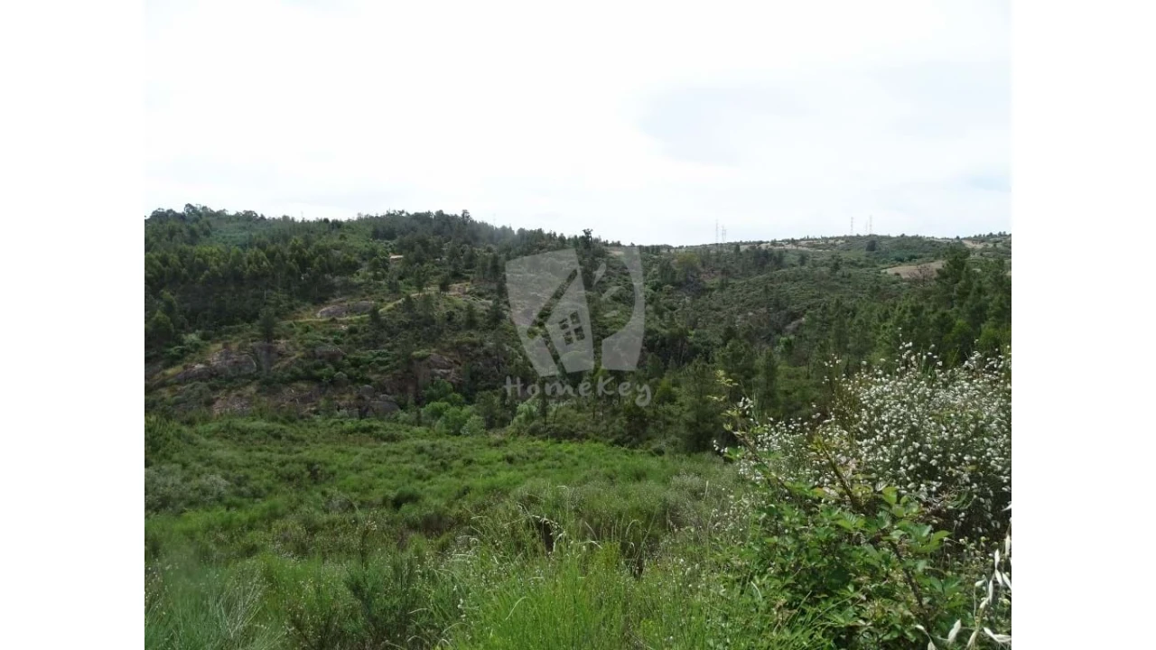 Terreno Agricola ou Rústico para Venda em Salgueiro do Campo Foto 24