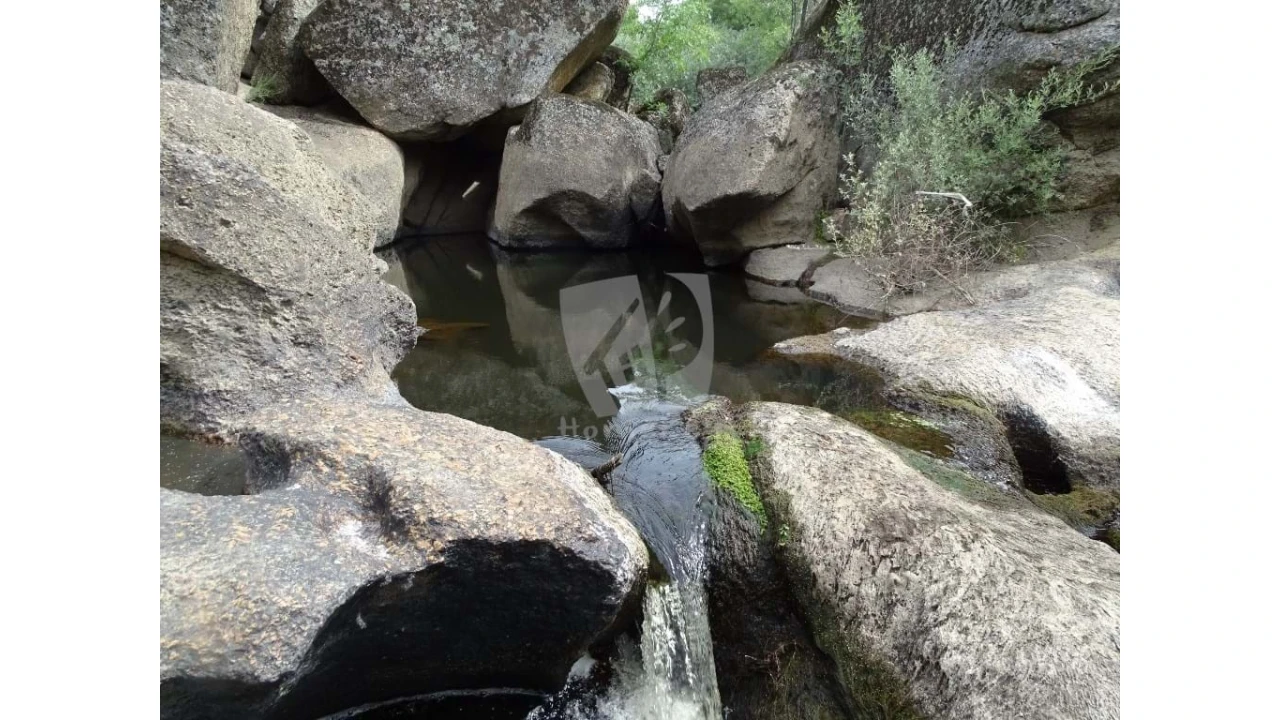Terreno Agricola ou Rústico para Venda em Salgueiro do Campo Foto 9