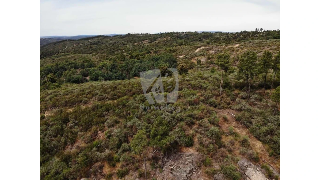 Terreno Agricola ou Rústico para Venda em Salgueiro do Campo Foto 30