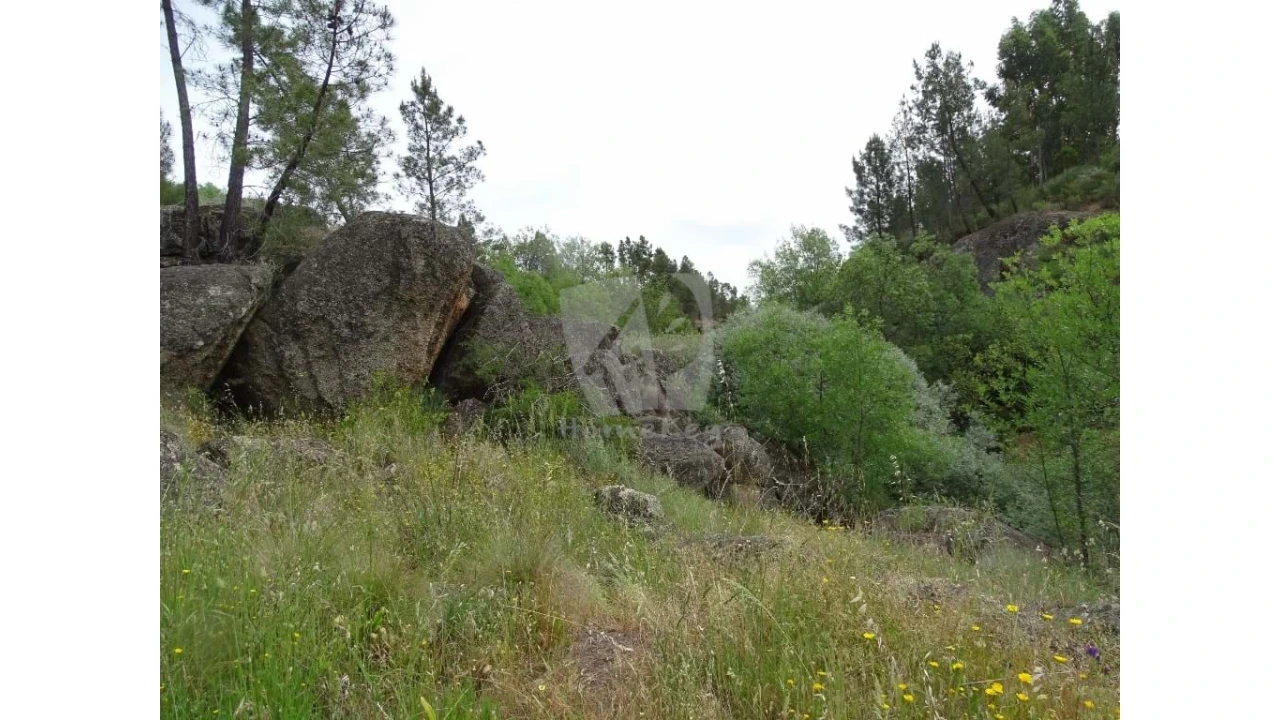 Terreno Agricola ou Rústico para Venda em Salgueiro do Campo Foto 25