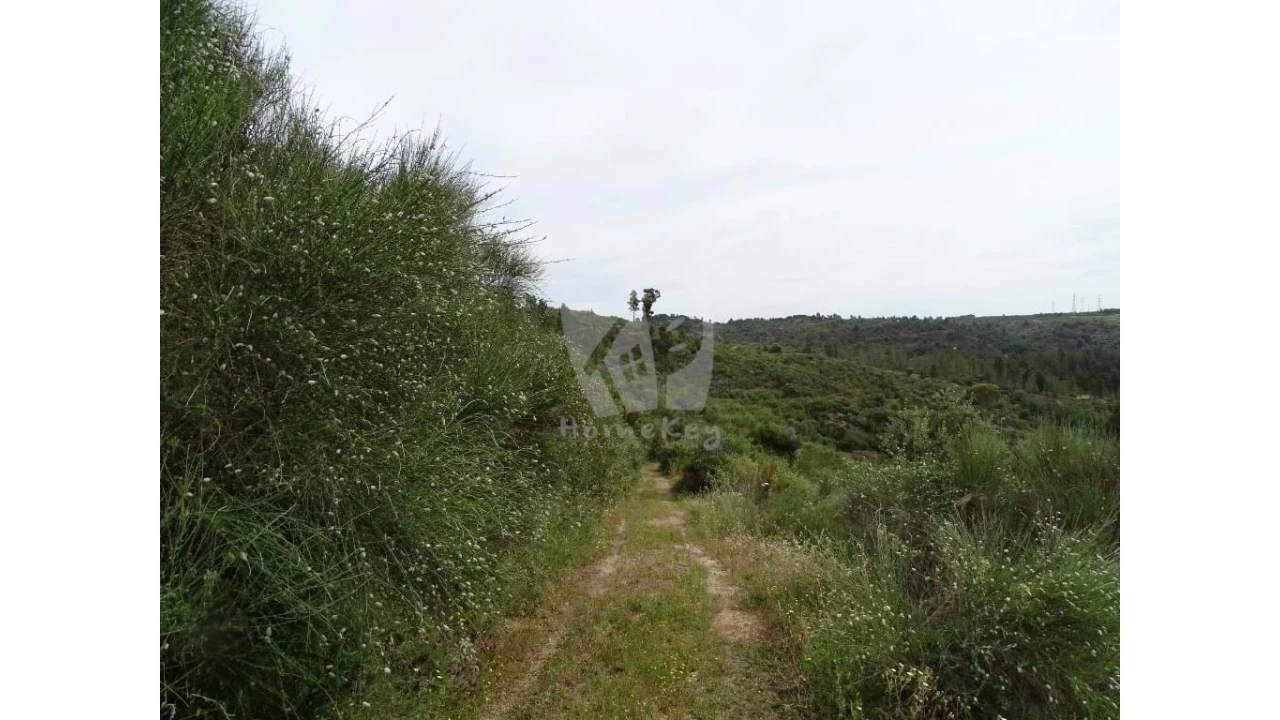 Terreno Agricola ou Rústico para Venda em Salgueiro do Campo Foto 21