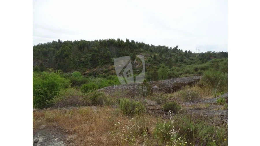 Terreno Agricola ou Rústico para Venda em Salgueiro do Campo Foto 27