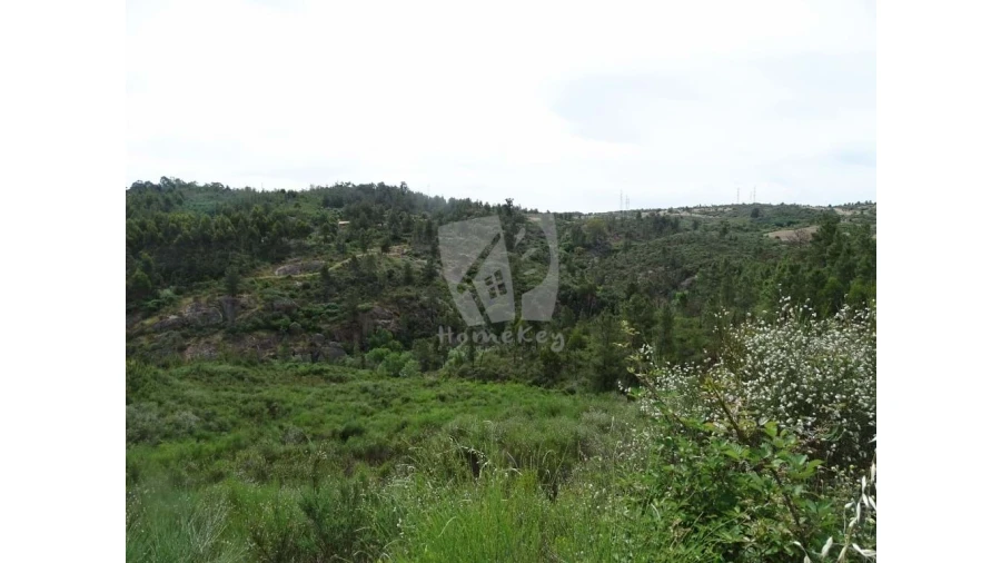 Terreno Agricola ou Rústico para Venda em Salgueiro do Campo Foto 24