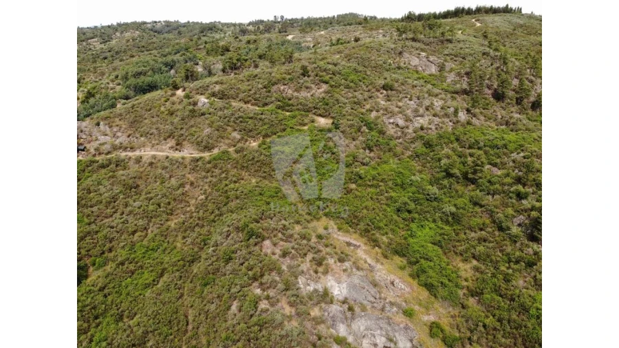 Terreno Agricola ou Rústico para Venda em Salgueiro do Campo Foto 34