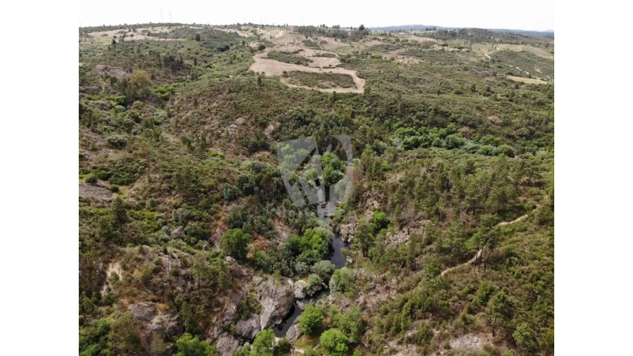 Terreno Agricola ou Rústico para Venda em Salgueiro do Campo Foto 33