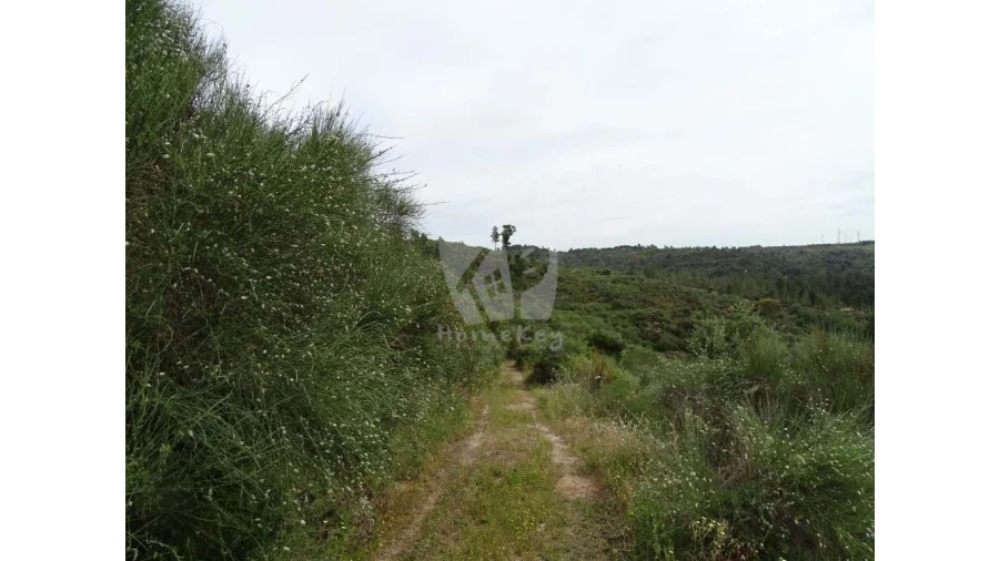 Terreno Agricola ou Rústico para Venda em Salgueiro do Campo Foto 21