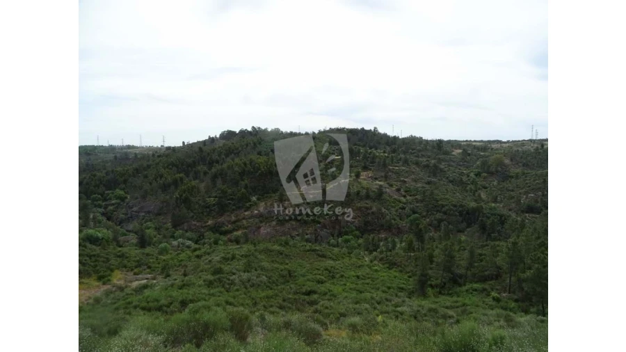 Terreno Agricola ou Rústico para Venda em Salgueiro do Campo Foto 22