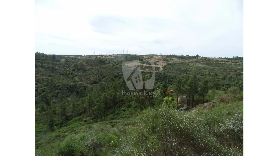 Terreno Agricola ou Rústico para Venda em Salgueiro do Campo Foto 20