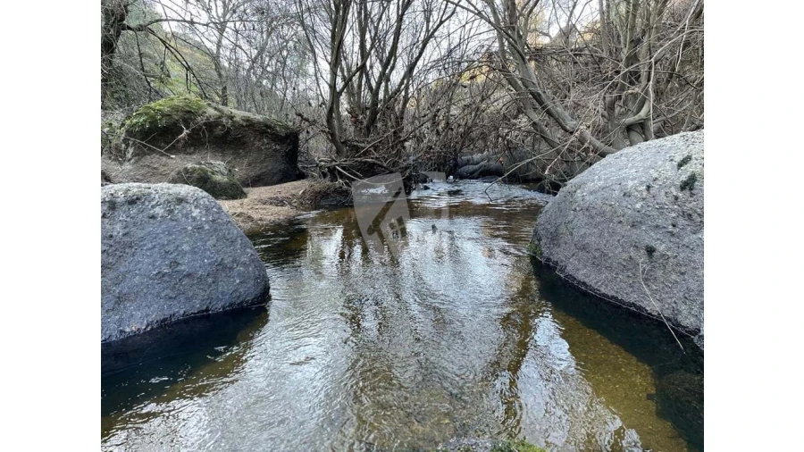 Terreno Agricola ou Rústico para Venda em Salgueiro do Campo Foto 7