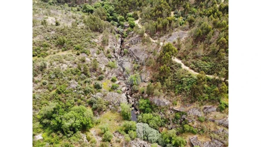 Terreno Agricola ou Rústico para Venda em Salgueiro do Campo Foto 31