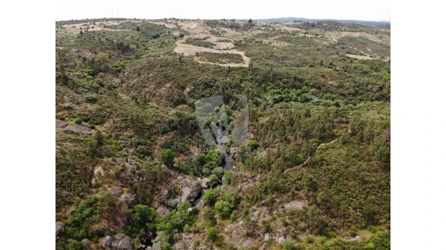 Terreno Agricola ou Rústico para Venda em Salgueiro do Campo Foto 32