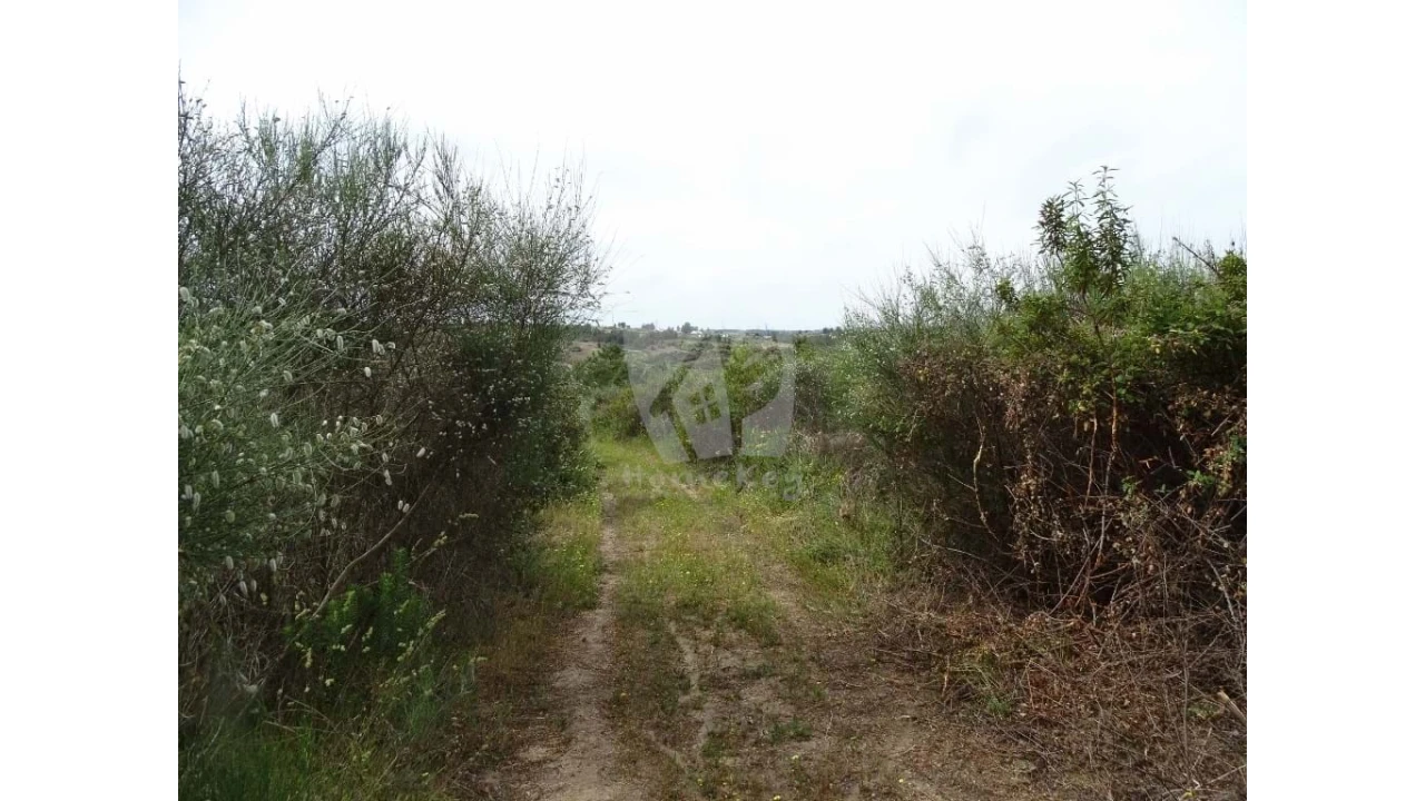 Terreno Agricola ou Rústico para Venda em Salgueiro do Campo Foto 15