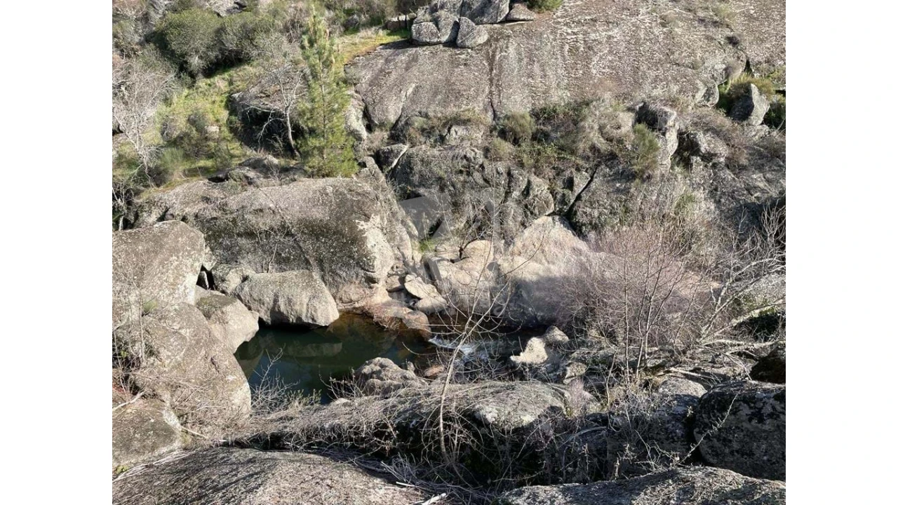 Terreno Agricola ou Rústico para Venda em Salgueiro do Campo Foto 8