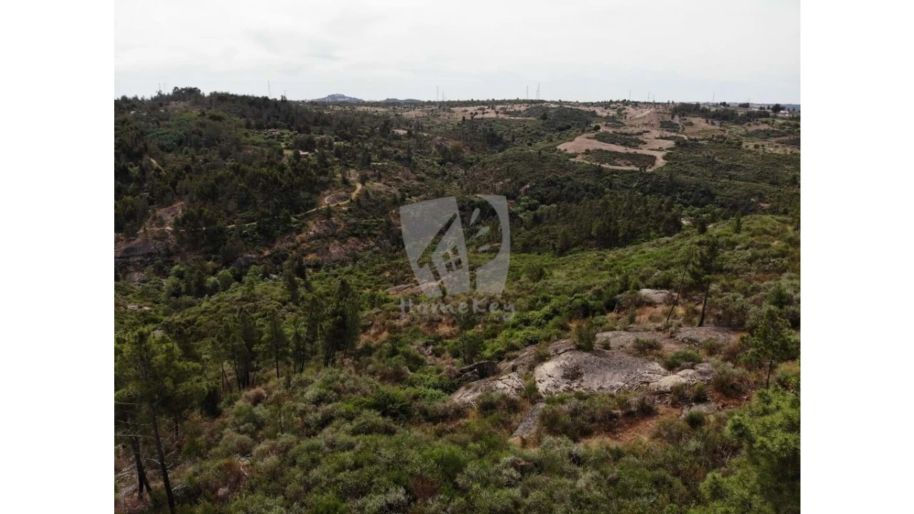 Terreno Agricola ou Rústico para Venda em Salgueiro do Campo Foto 28