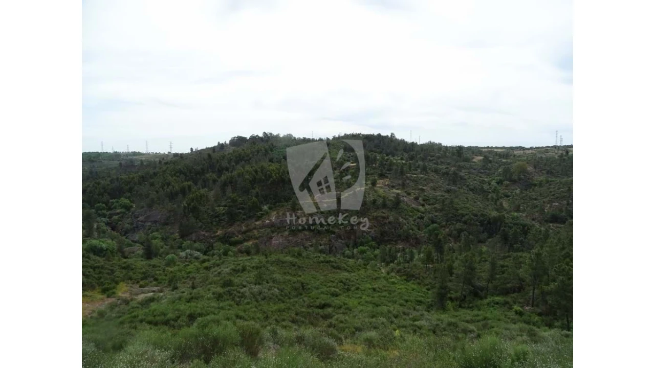 Terreno Agricola ou Rústico para Venda em Salgueiro do Campo Foto 22