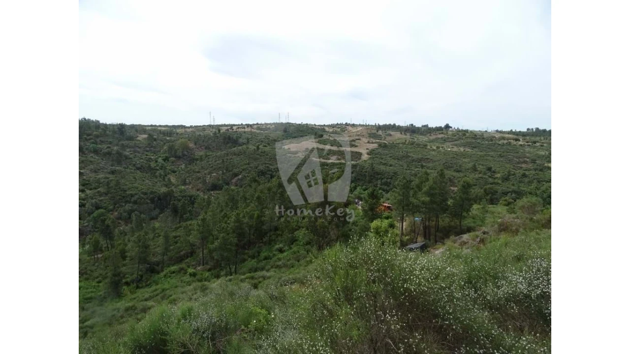 Terreno Agricola ou Rústico para Venda em Salgueiro do Campo Foto 20