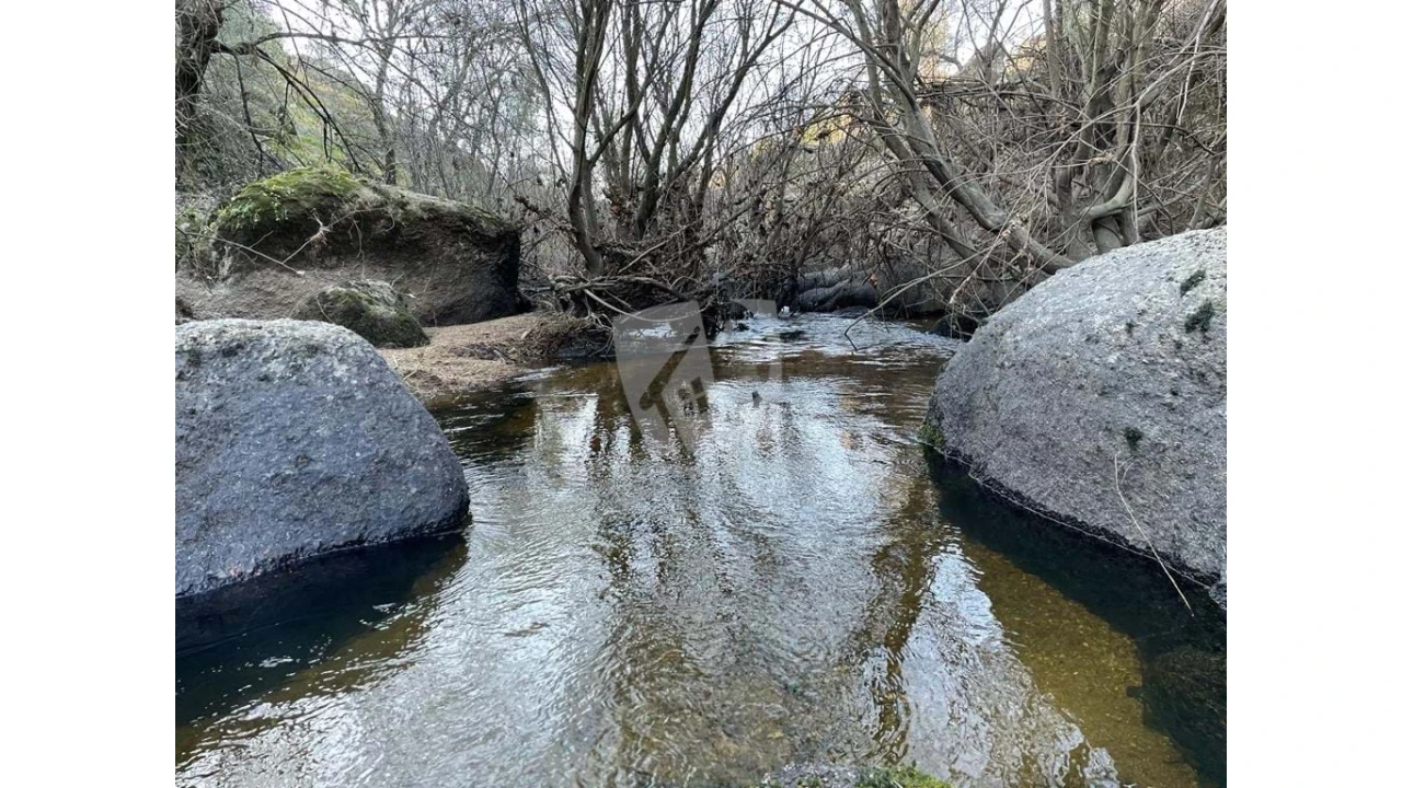 Terreno Agricola ou Rústico para Venda em Salgueiro do Campo Foto 7