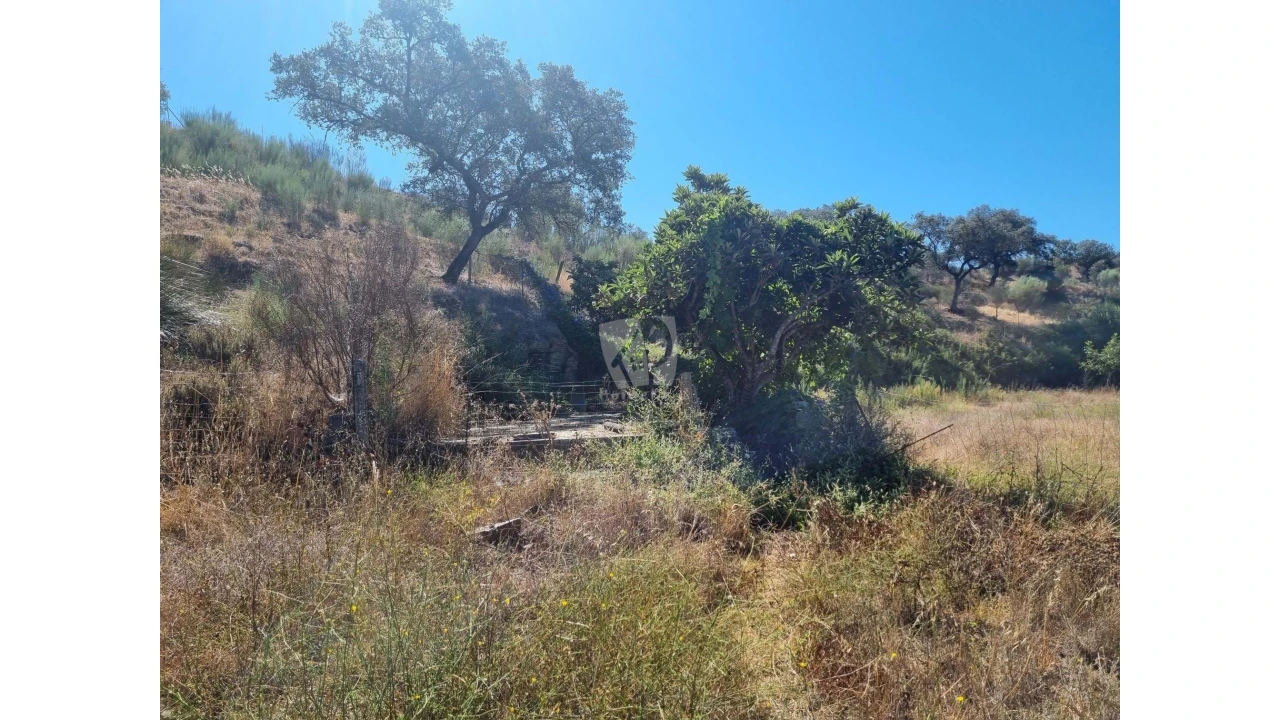 Quinta para Venda em Castelo Branco Foto 32