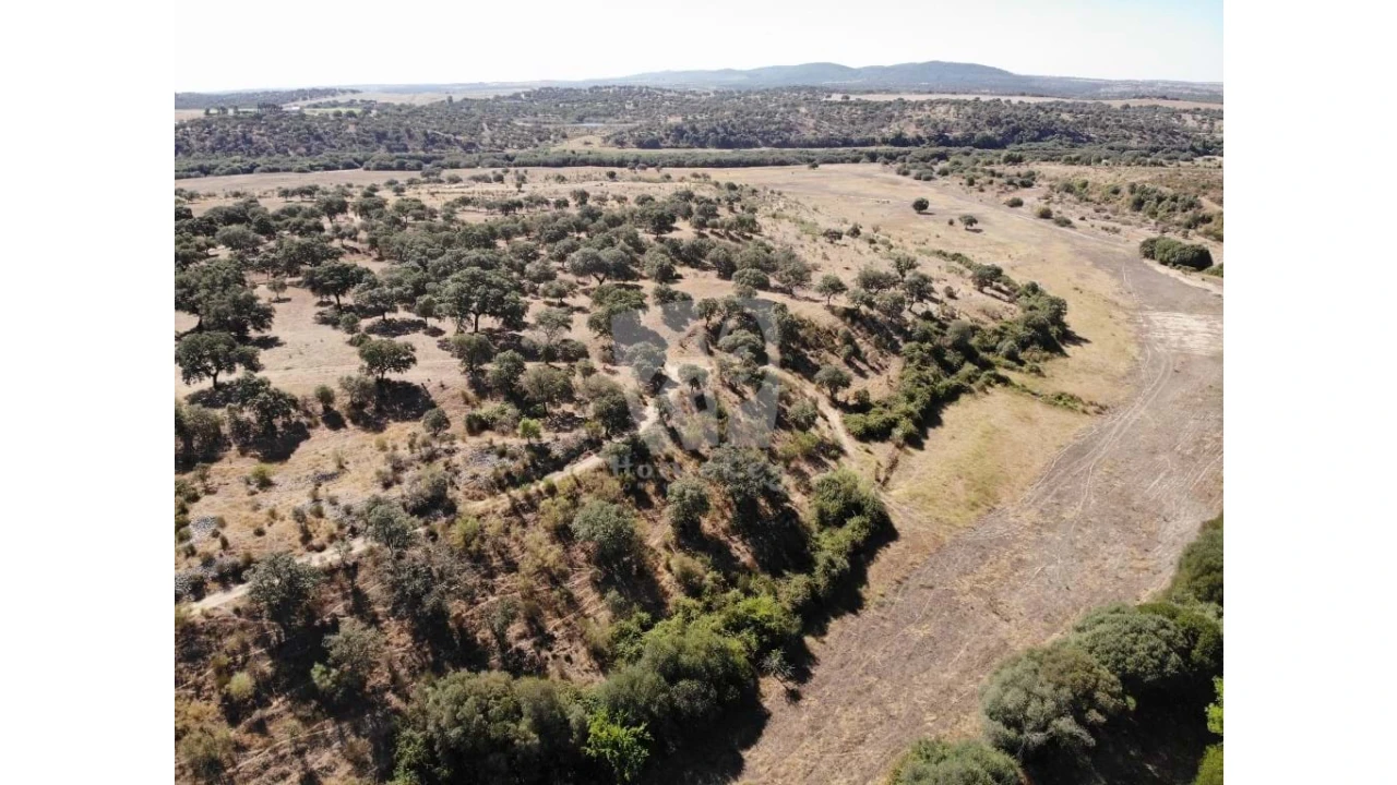 Quinta para Venda em Castelo Branco Foto 53