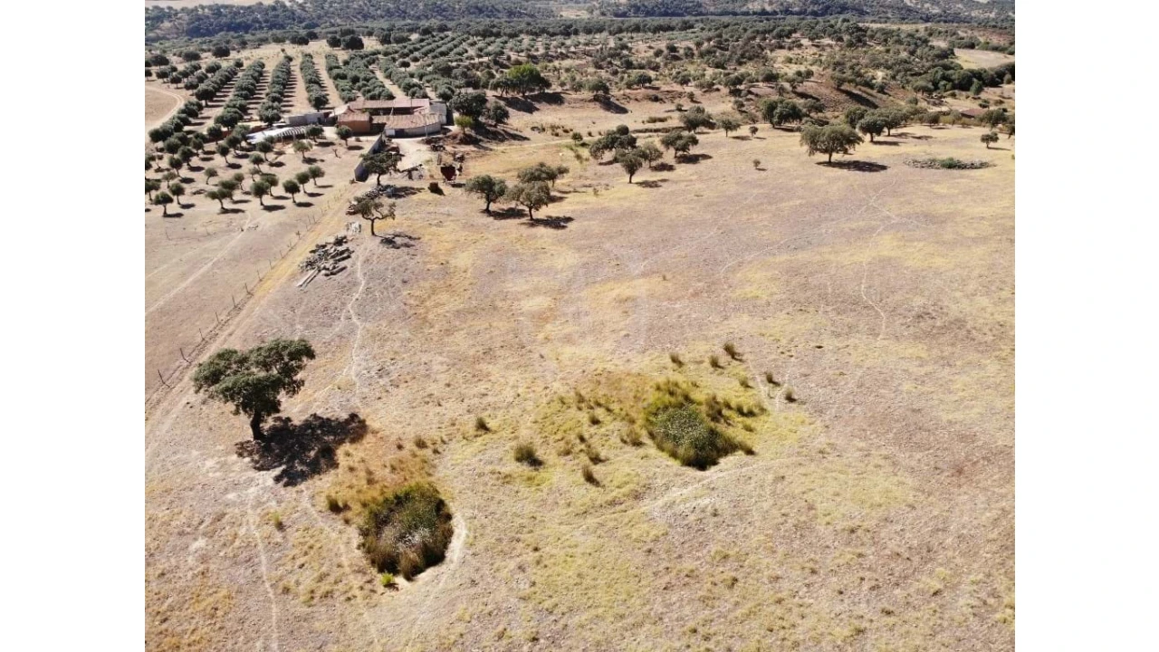 Quinta para Venda em Castelo Branco Foto 47