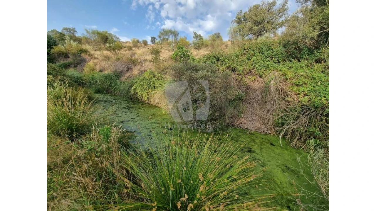 Quinta para Venda em Castelo Branco Foto 24