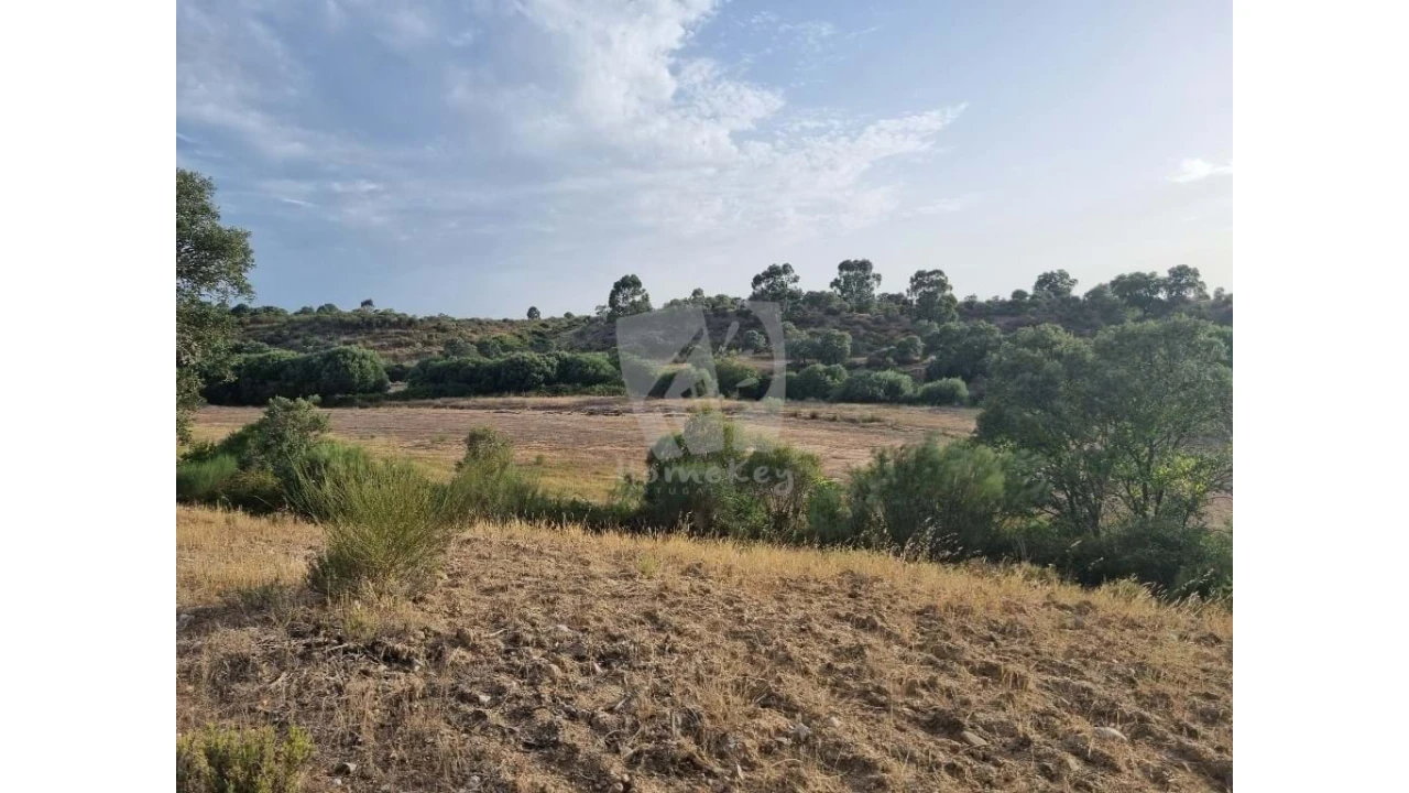 Quinta para Venda em Castelo Branco Foto 21