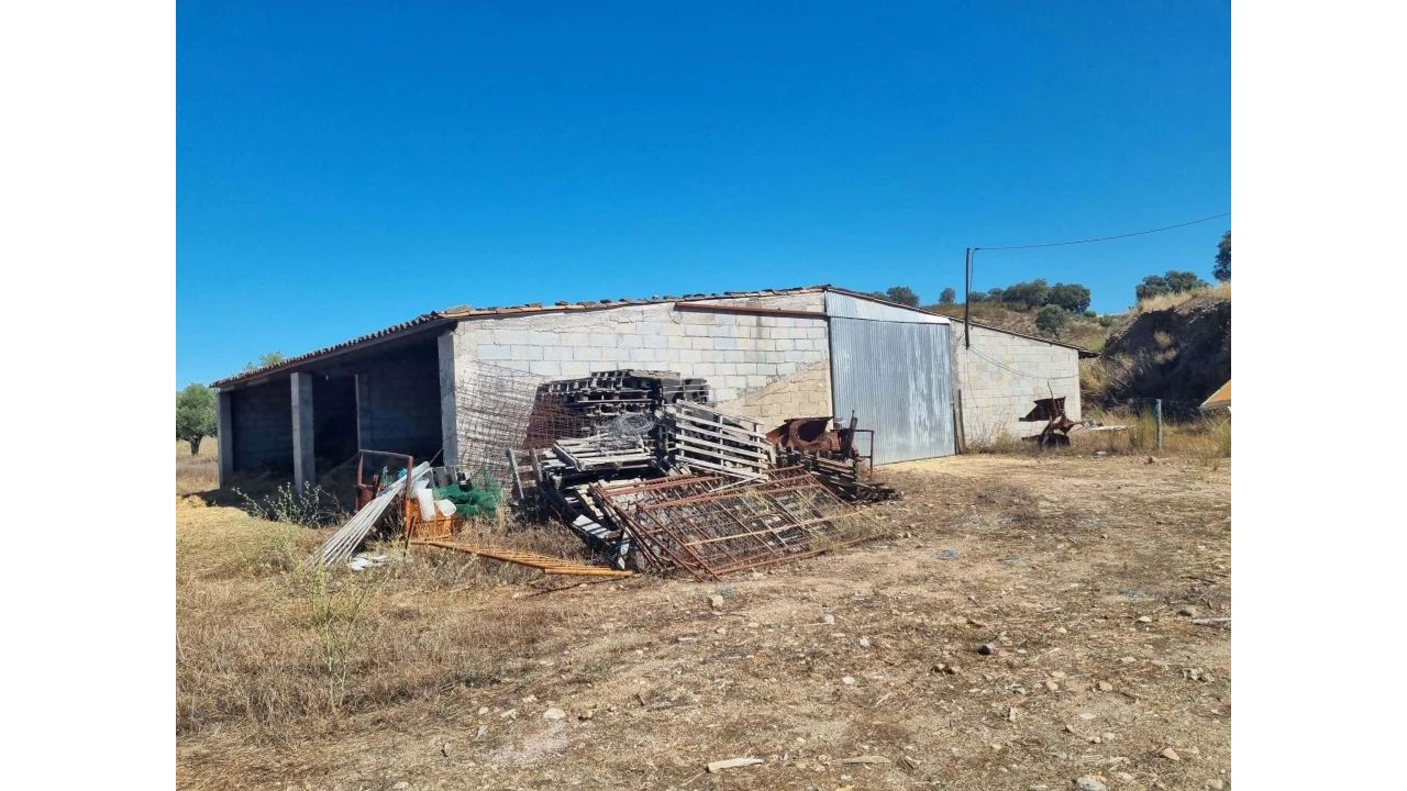 Quinta para Venda em Castelo Branco Foto 34