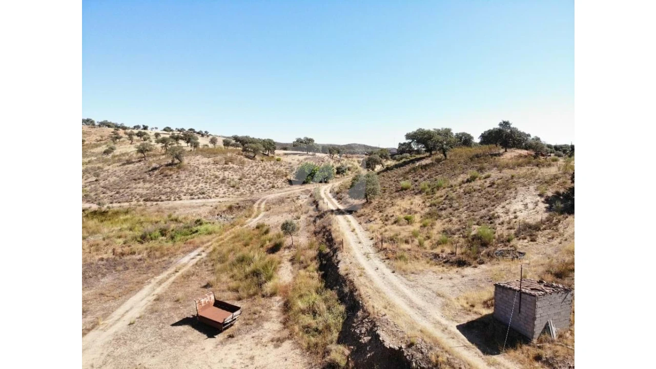 Quinta para Venda em Castelo Branco Foto 51